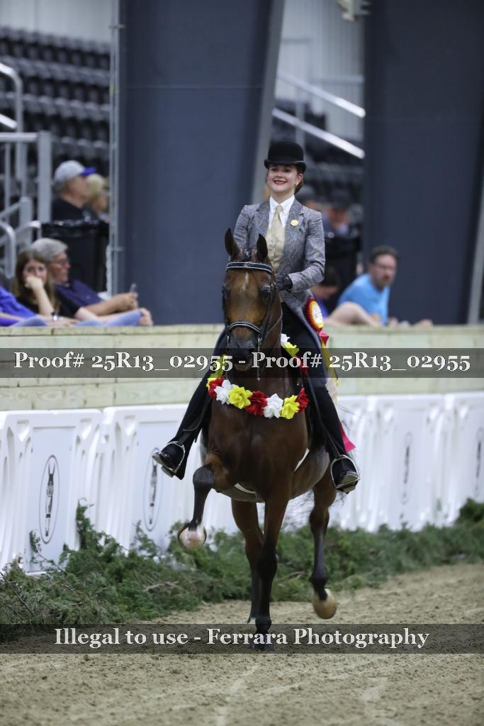 Proof 25R13_02955