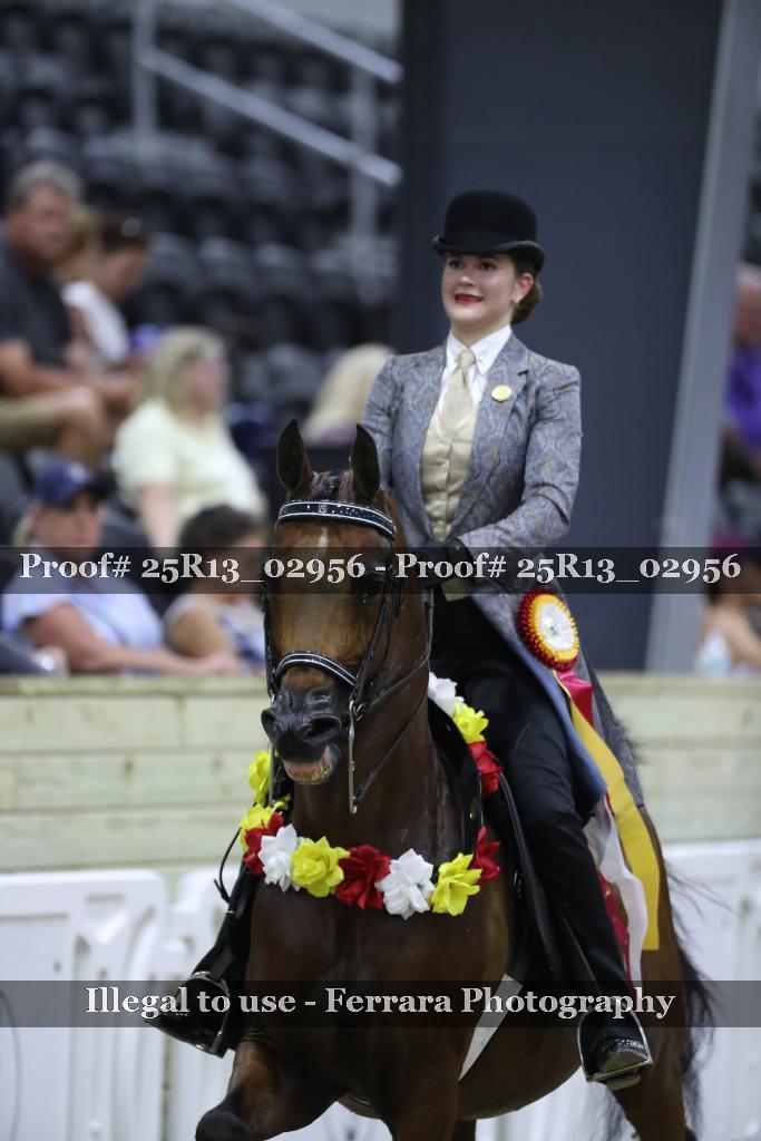 Proof 25R13_02956