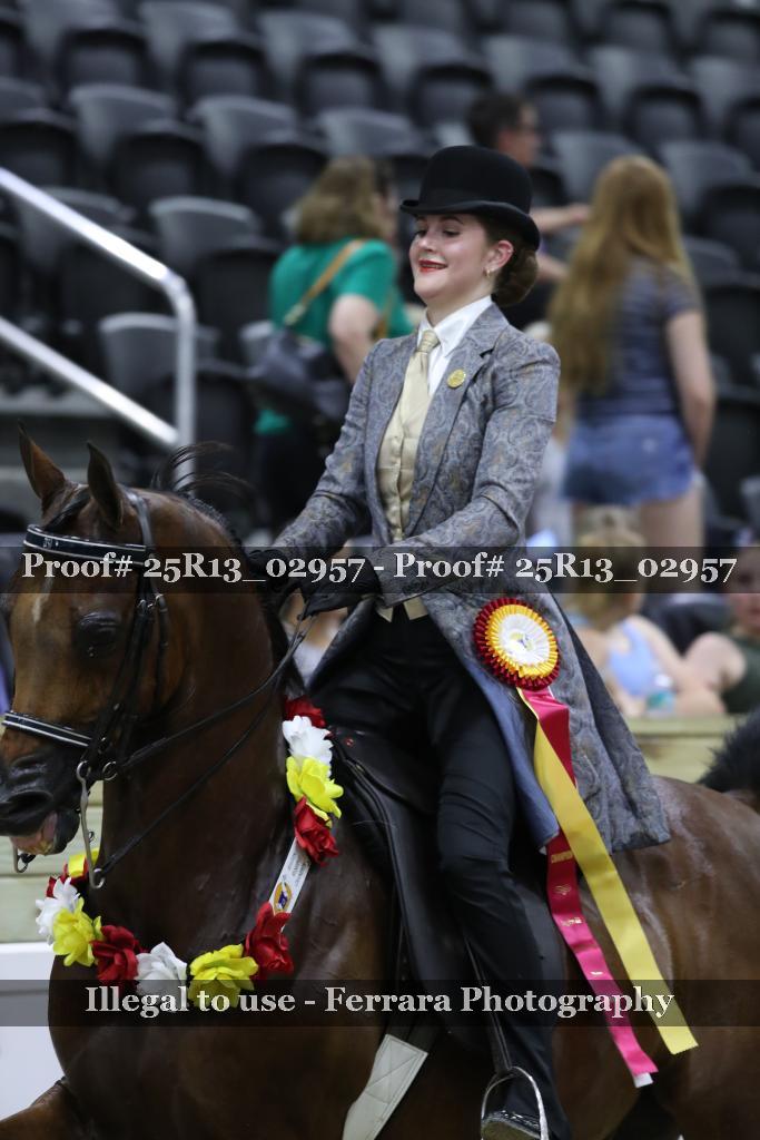 Proof 25R13_02957