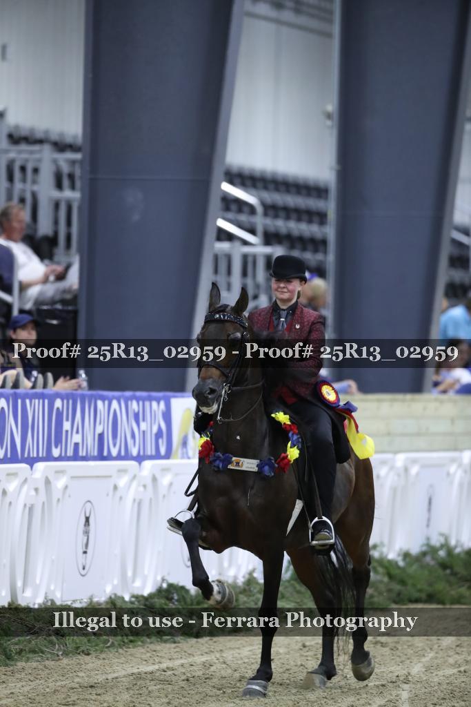 Proof 25R13_02959