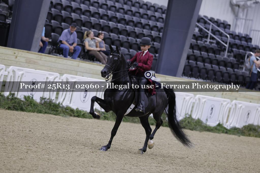 Proof 25R13_02960