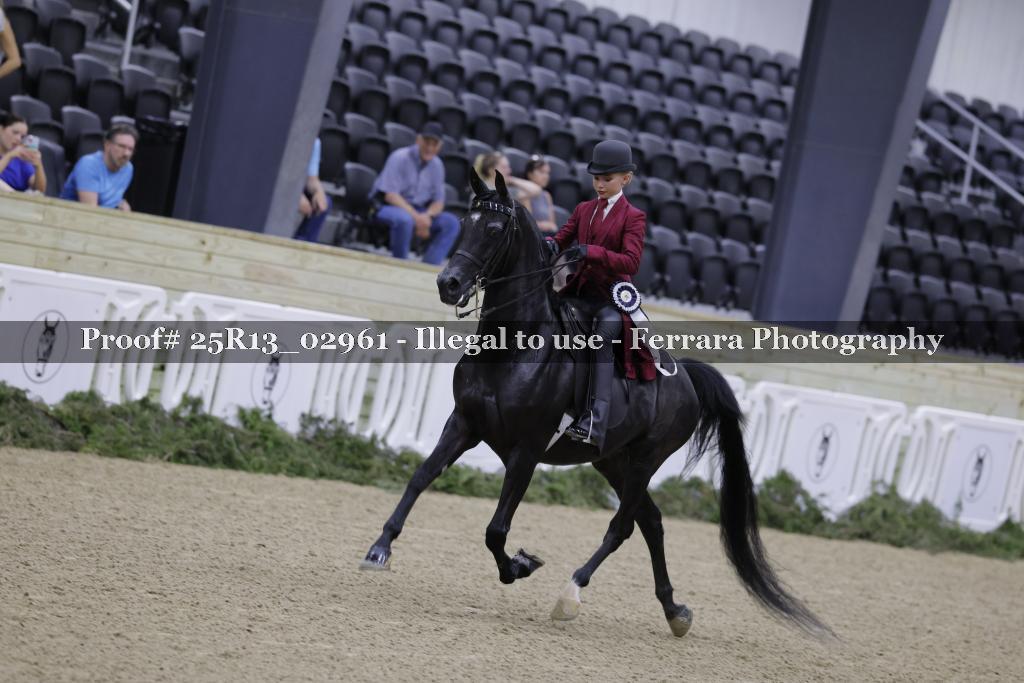 Proof 25R13_02961