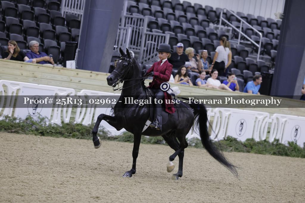 Proof 25R13_02962