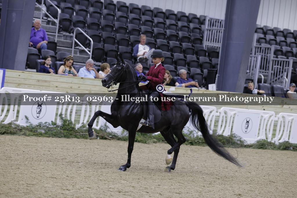 Proof 25R13_02963
