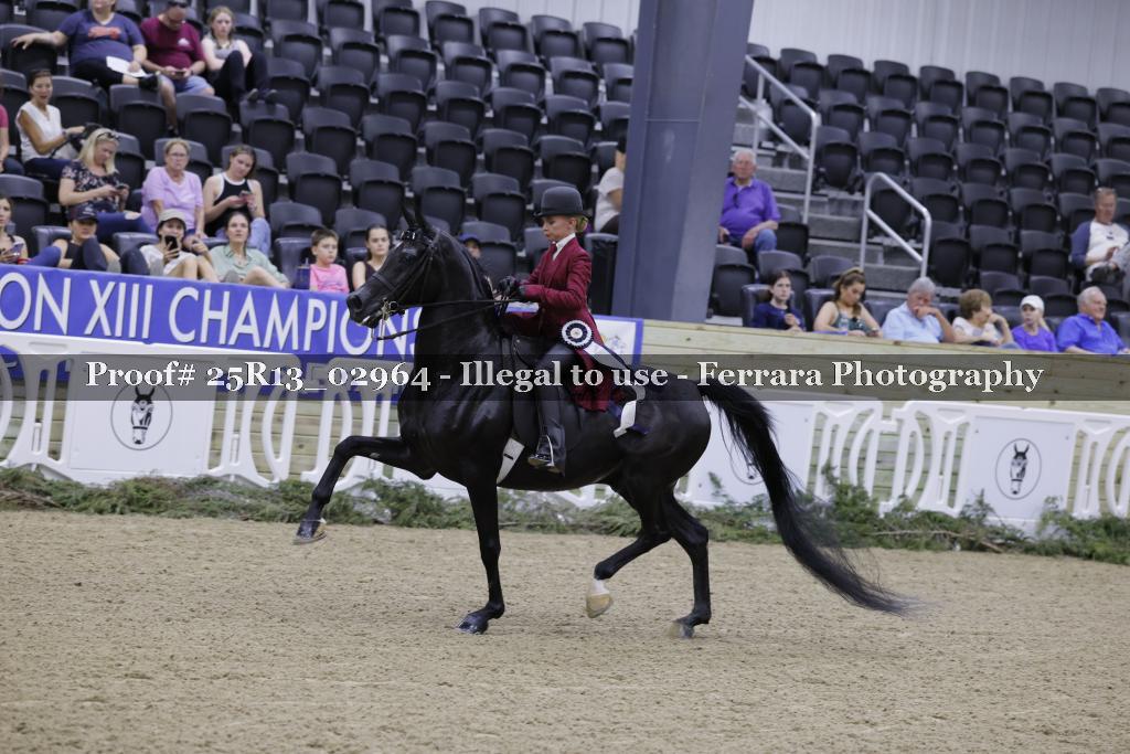 Proof 25R13_02964