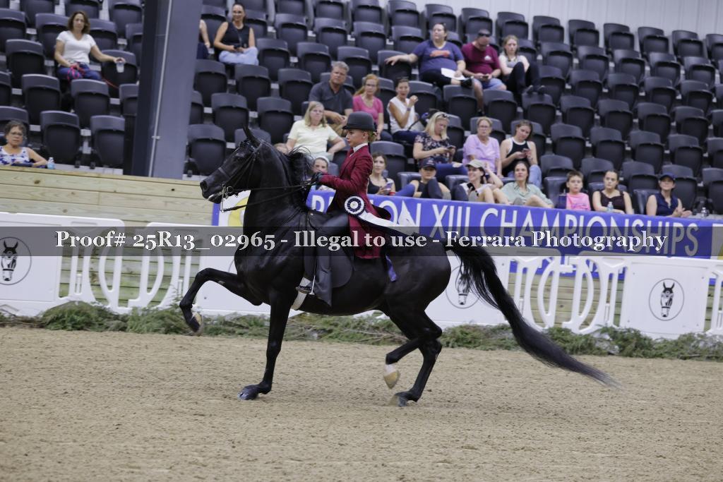 Proof 25R13_02965