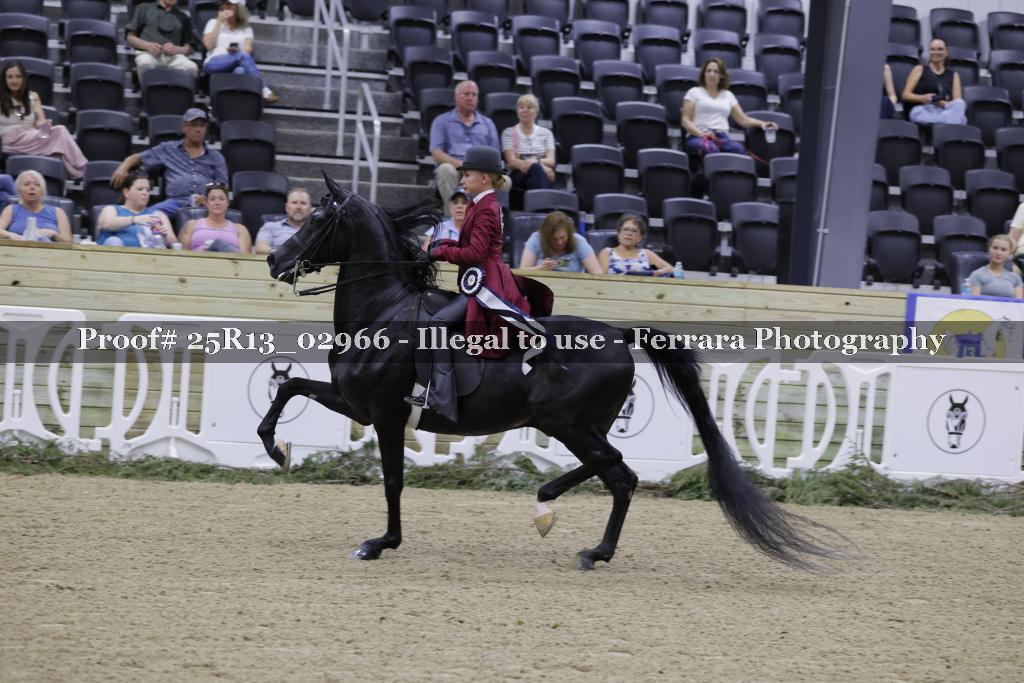 Proof 25R13_02966
