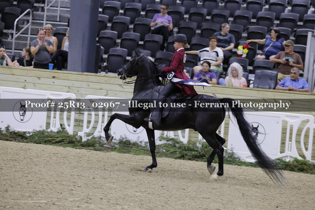 Proof 25R13_02967