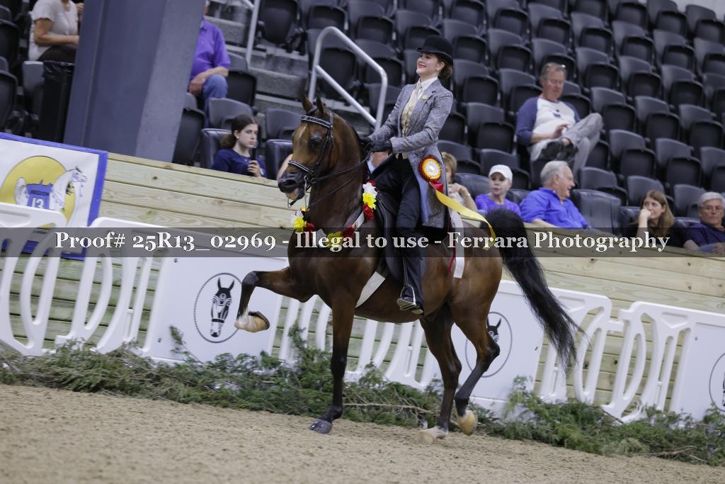Proof 25R13_02969