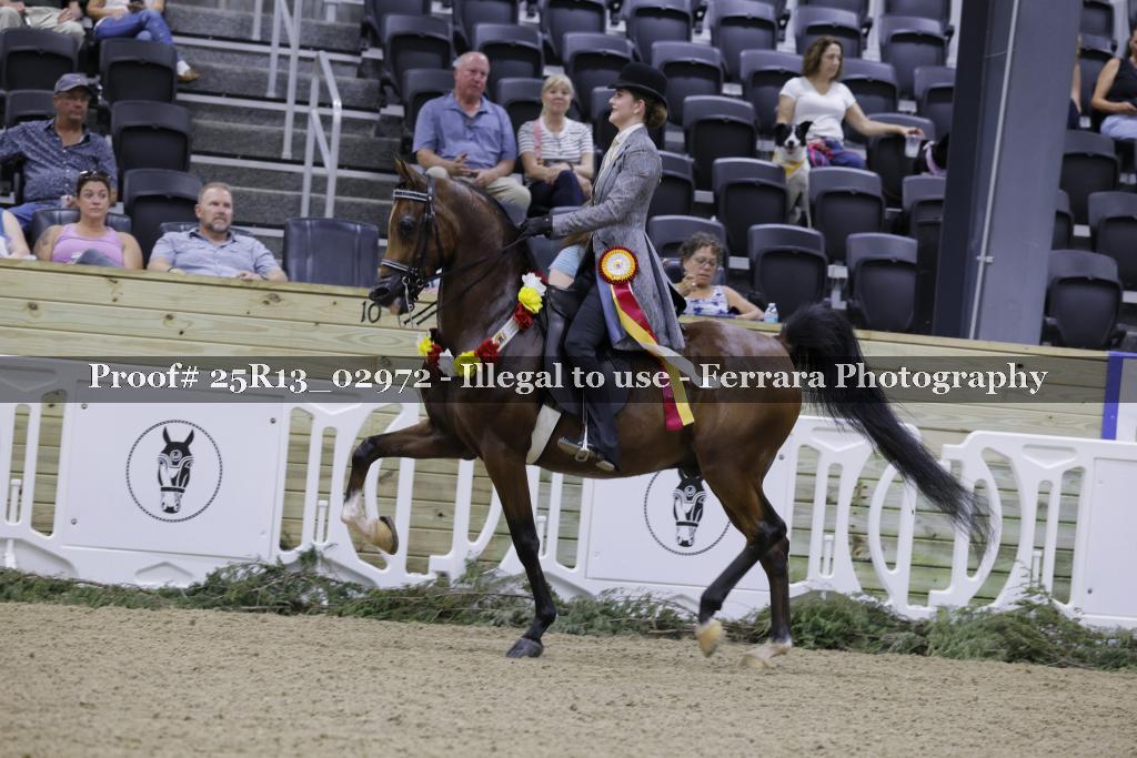 Proof 25R13_02972