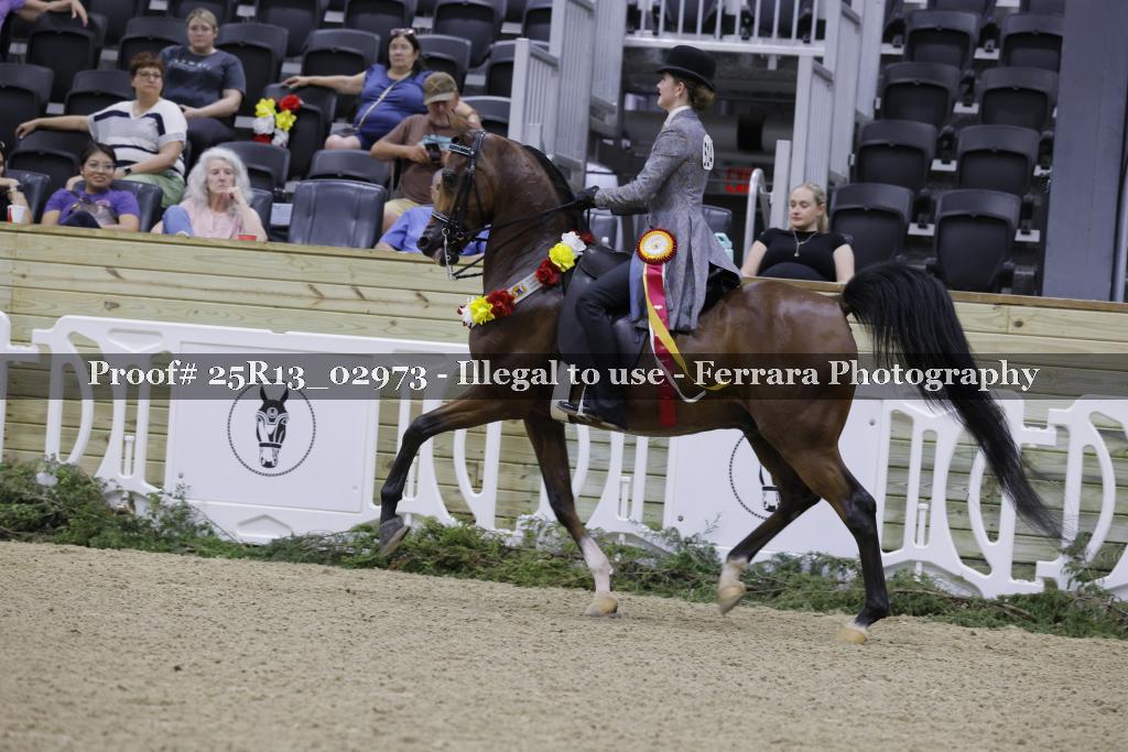 Proof 25R13_02973