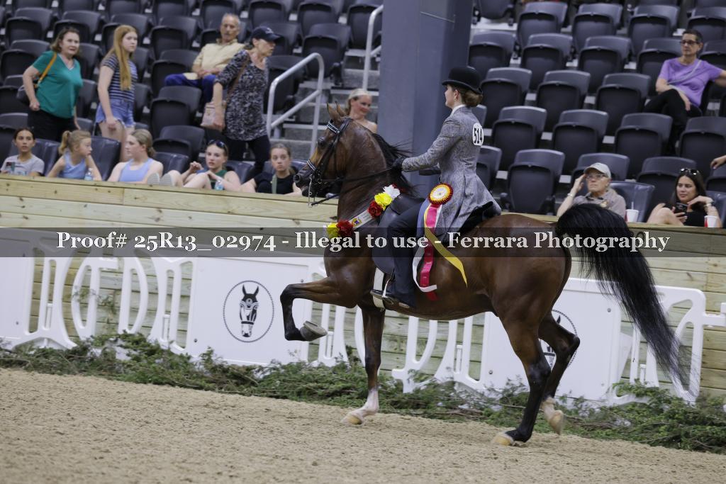 Proof 25R13_02974