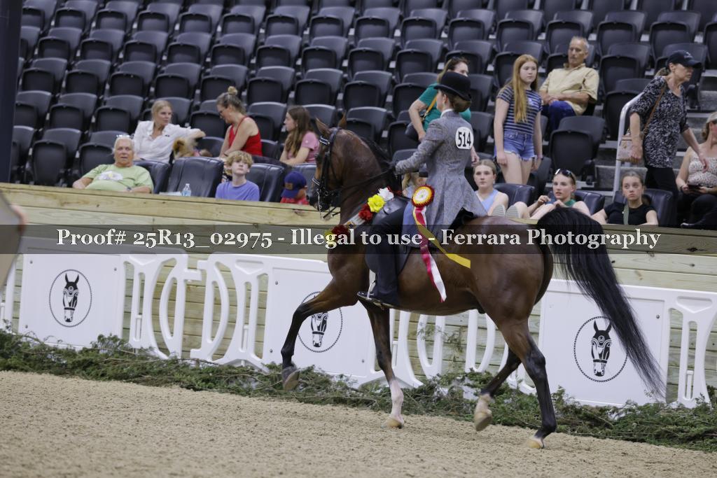 Proof 25R13_02975