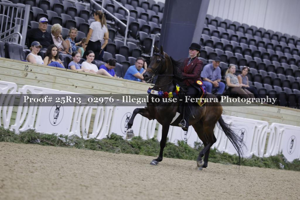 Proof 25R13_02976