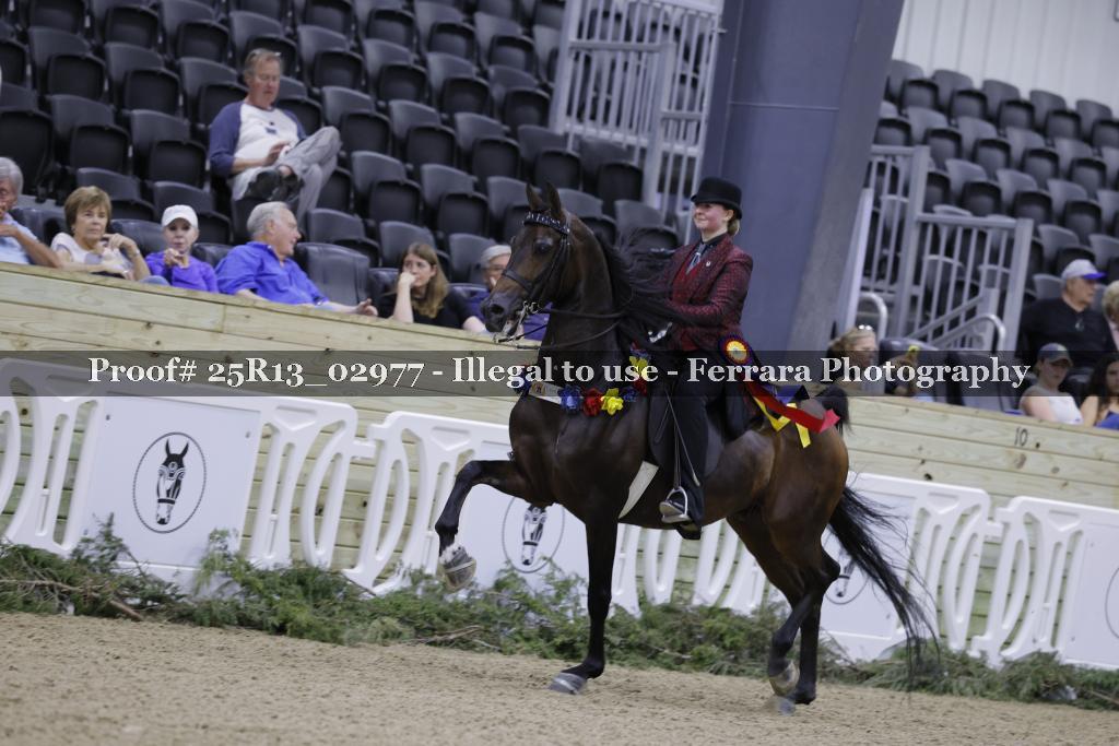 Proof 25R13_02977