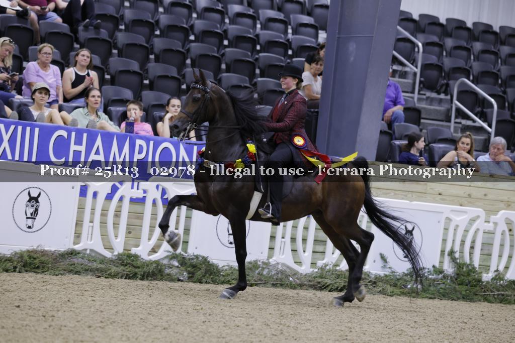 Proof 25R13_02978