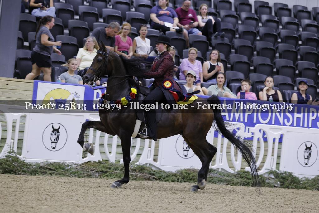 Proof 25R13_02979