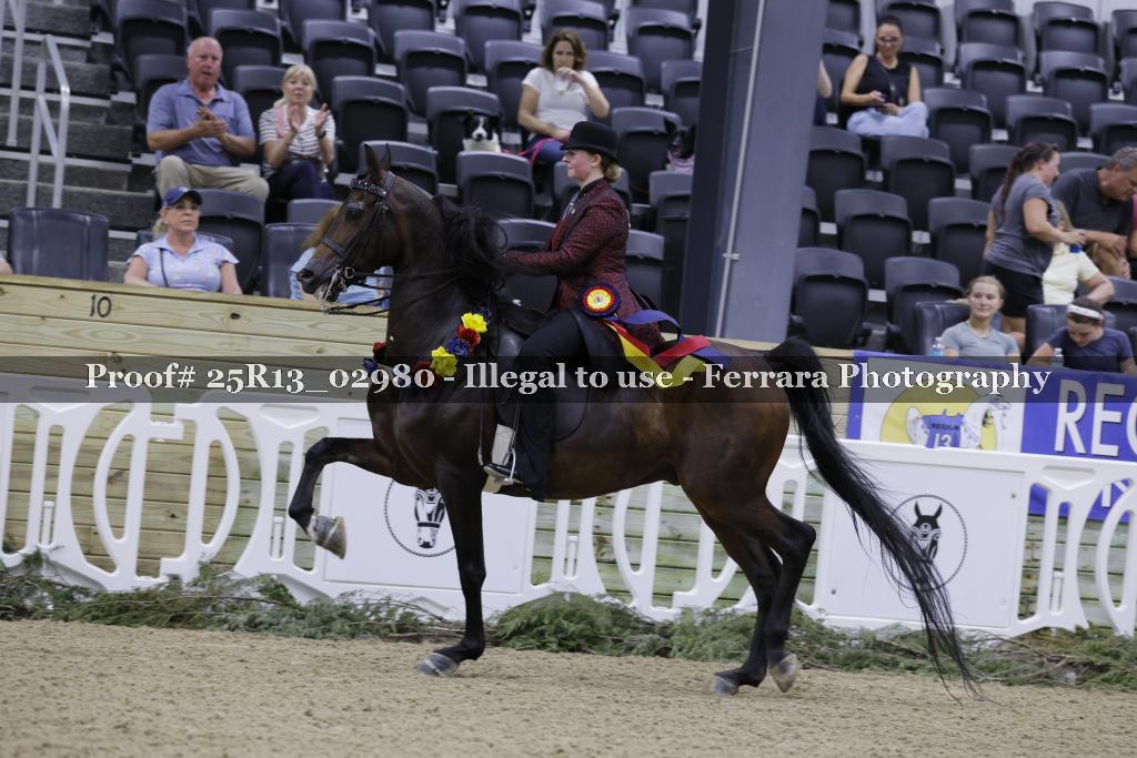 Proof 25R13_02980