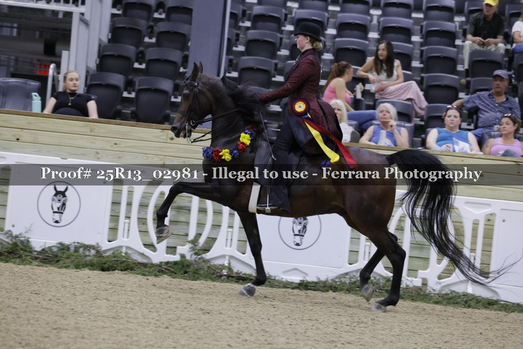 Proof 25R13_02981