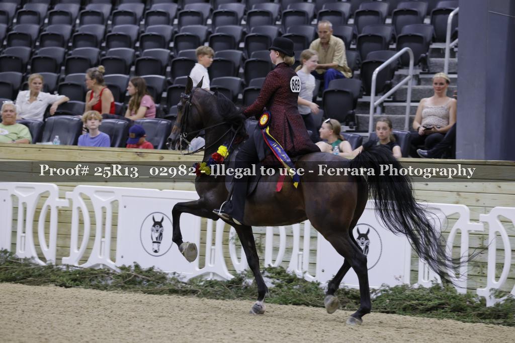 Proof 25R13_02982