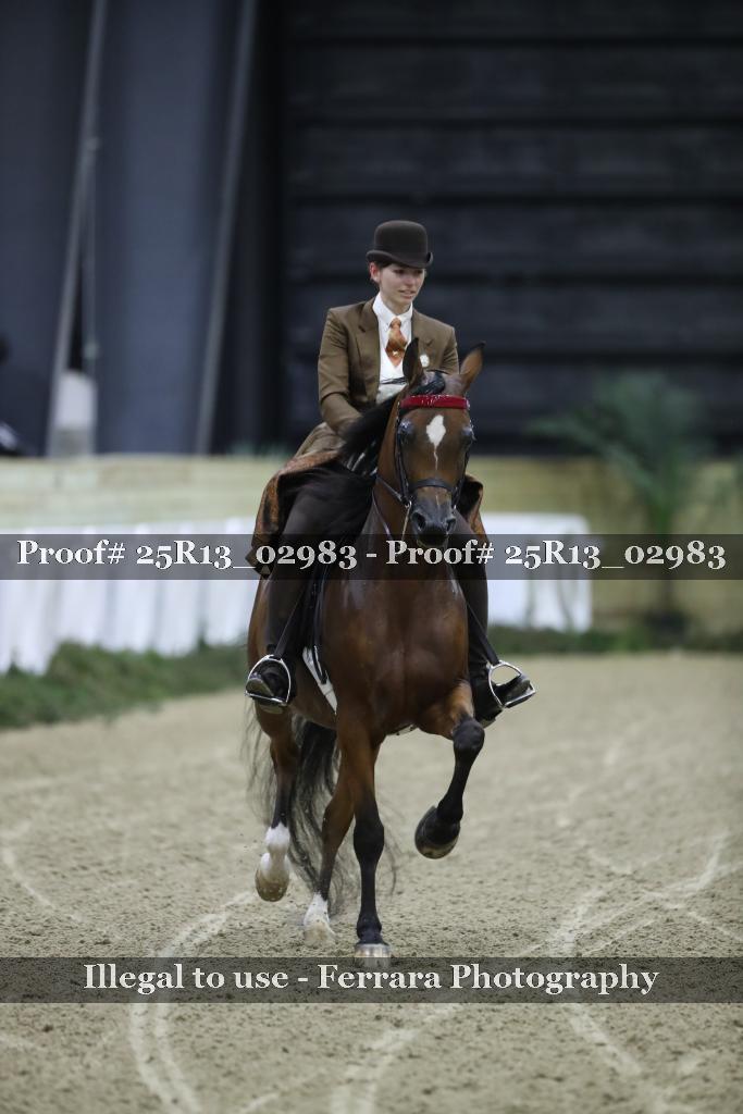 Proof 25R13_02983
