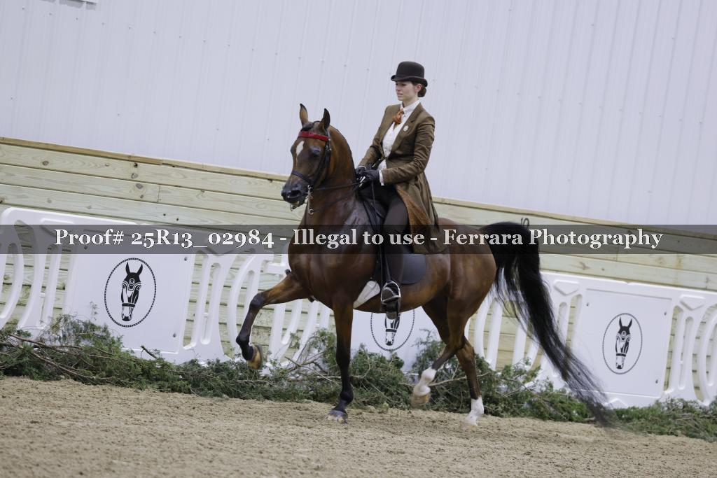 Proof 25R13_02984