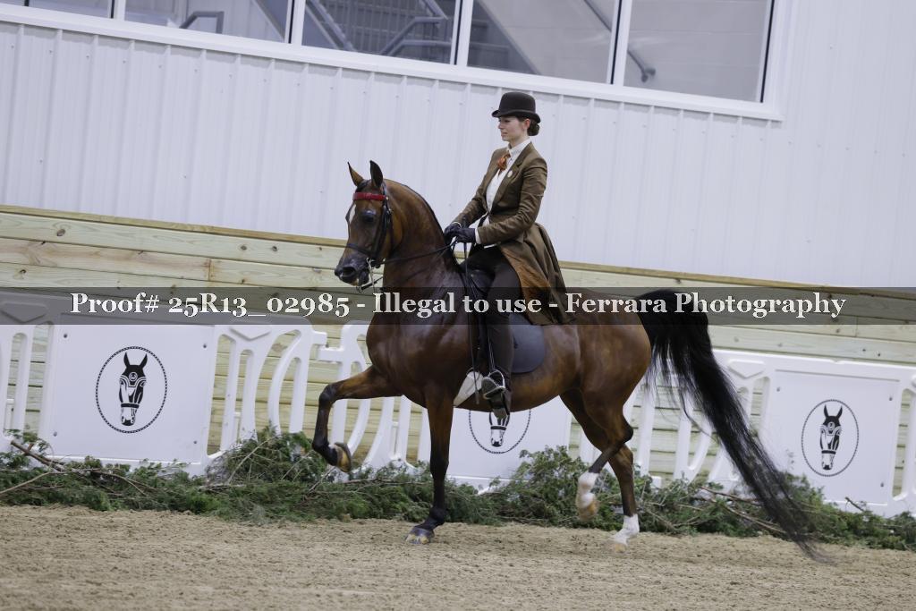 Proof 25R13_02985