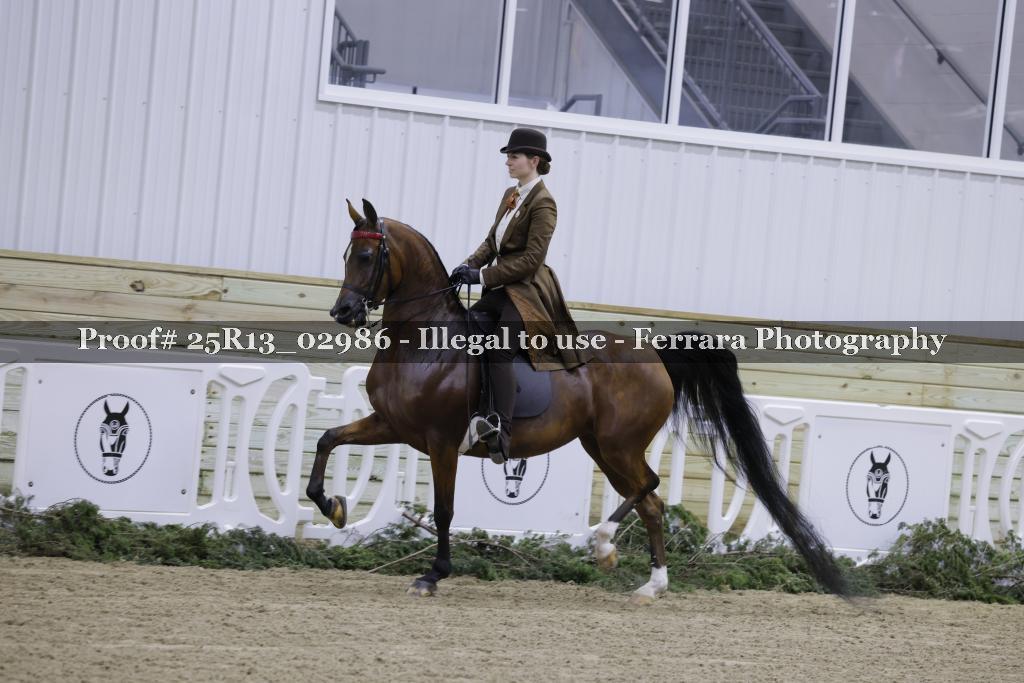 Proof 25R13_02986