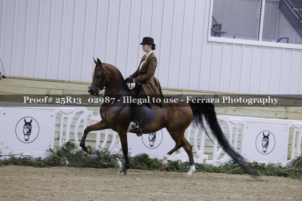 Proof 25R13_02987