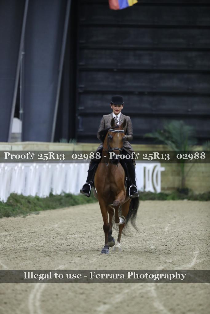 Proof 25R13_02988