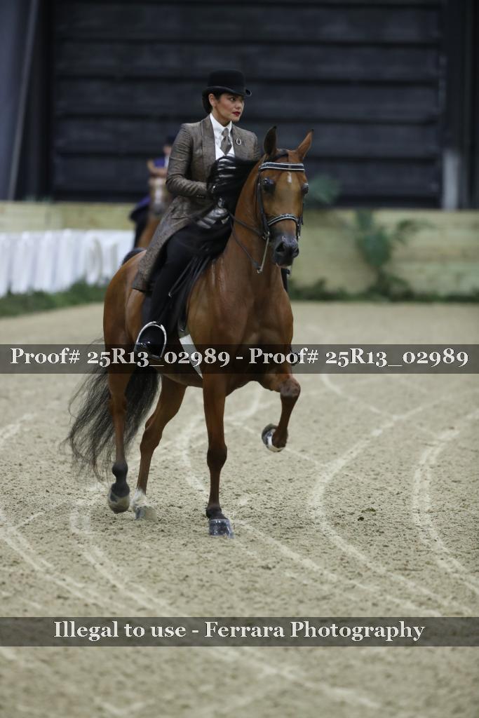 Proof 25R13_02989