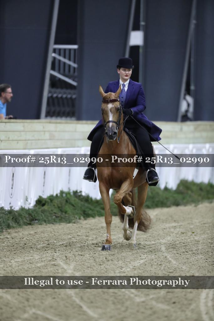 Proof 25R13_02990