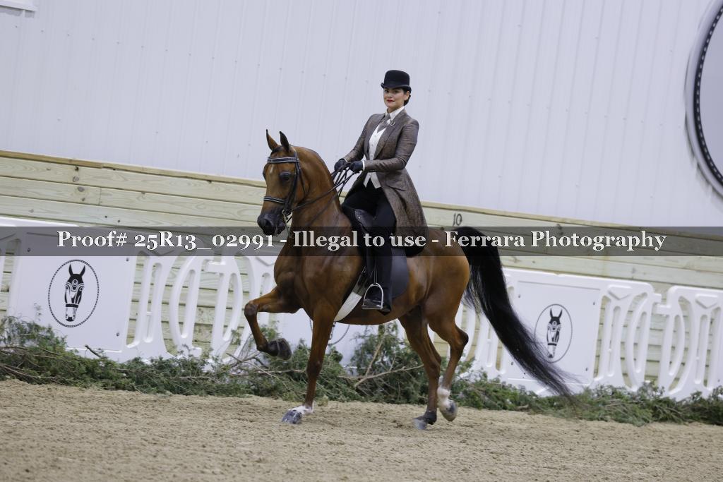 Proof 25R13_02991