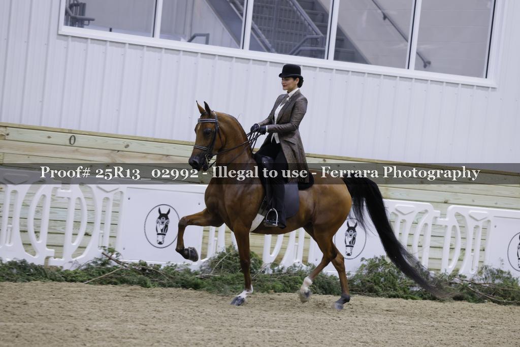 Proof 25R13_02992