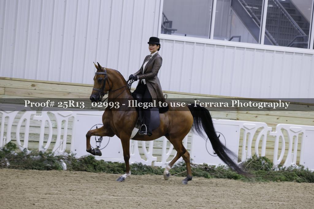 Proof 25R13_02993
