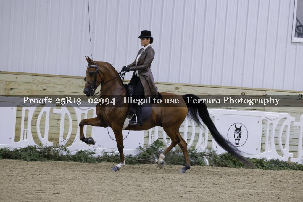 Proof 25R13_02994