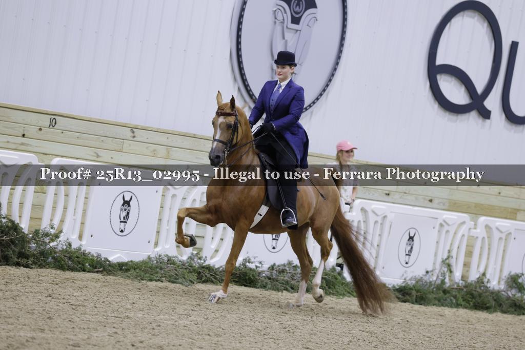 Proof 25R13_02995