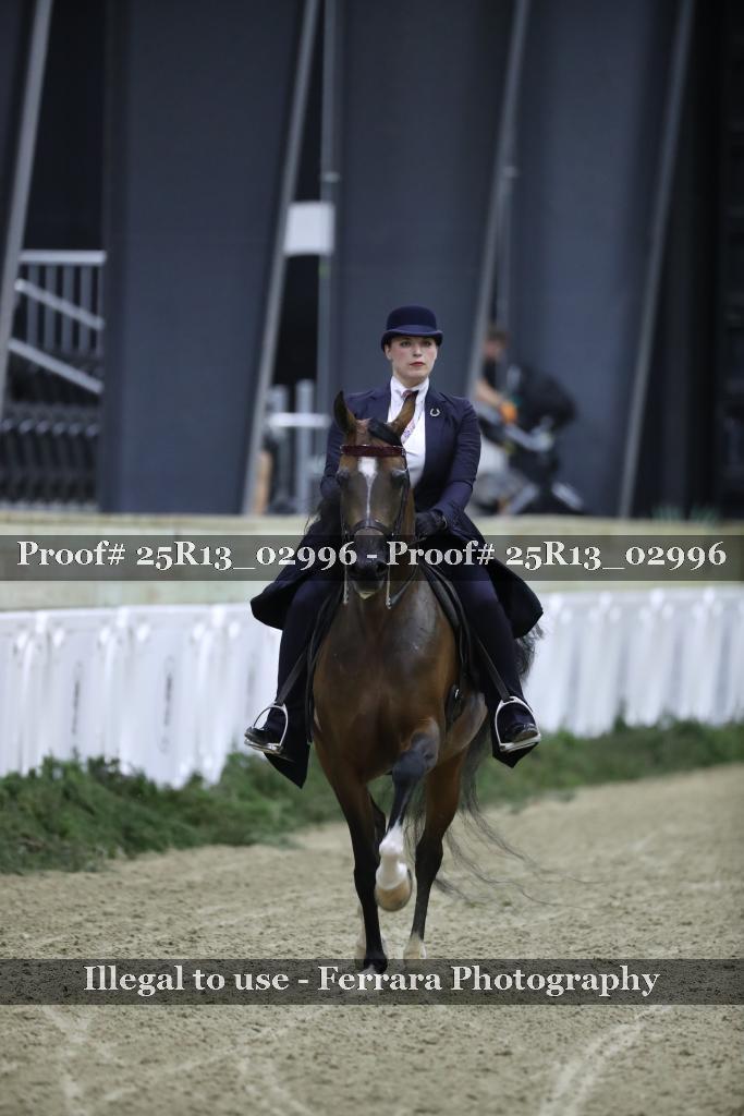 Proof 25R13_02996