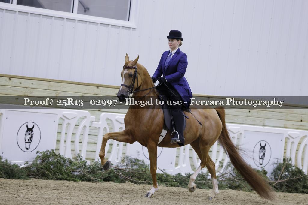 Proof 25R13_02997