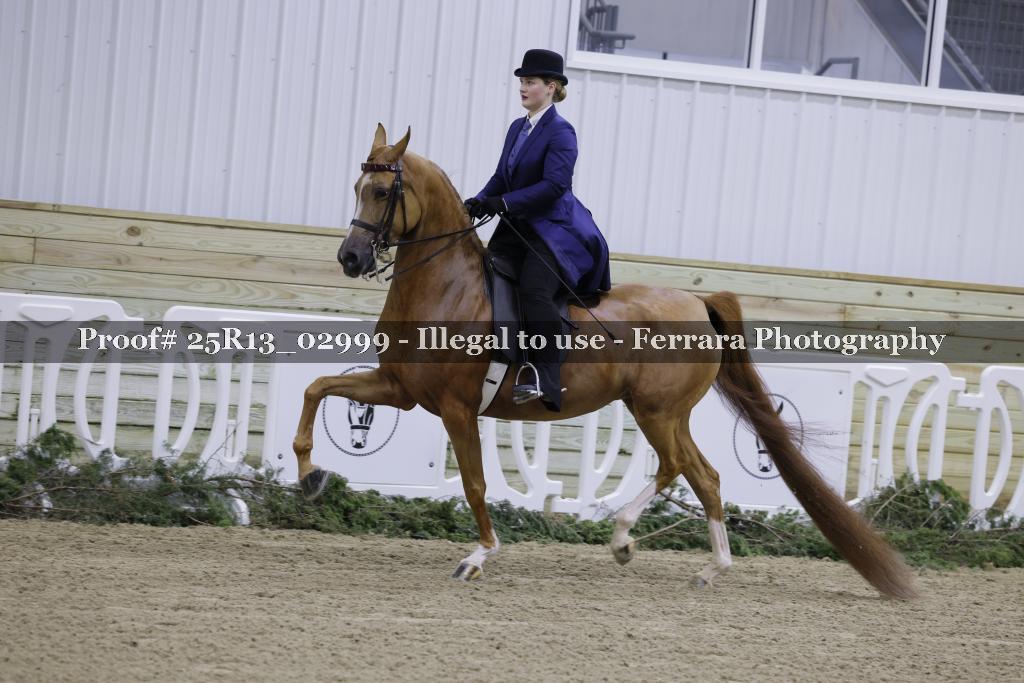 Proof 25R13_02999