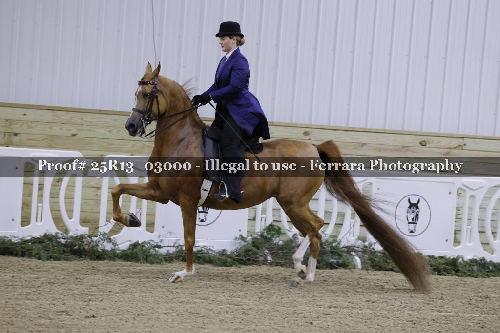 Proof 25R13_03000