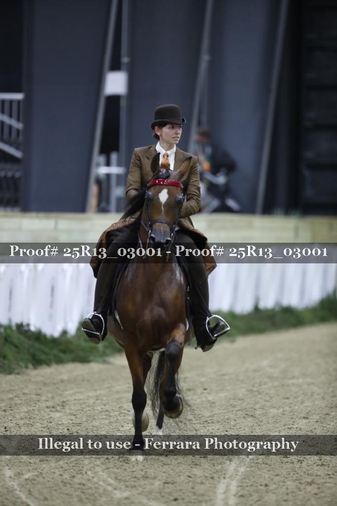 Proof 25R13_03001