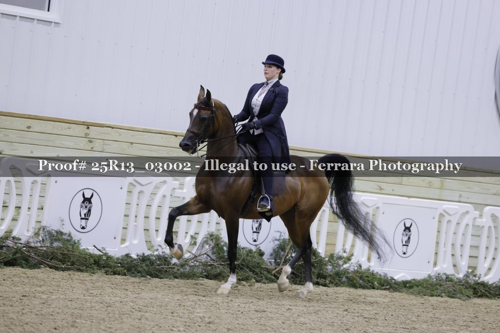Proof 25R13_03002