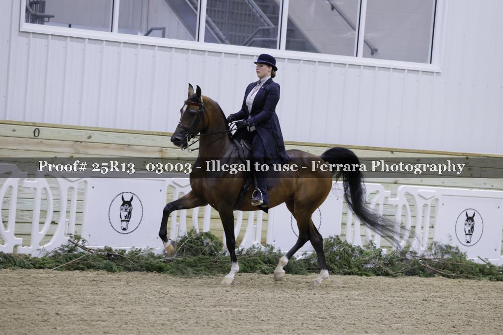Proof 25R13_03003