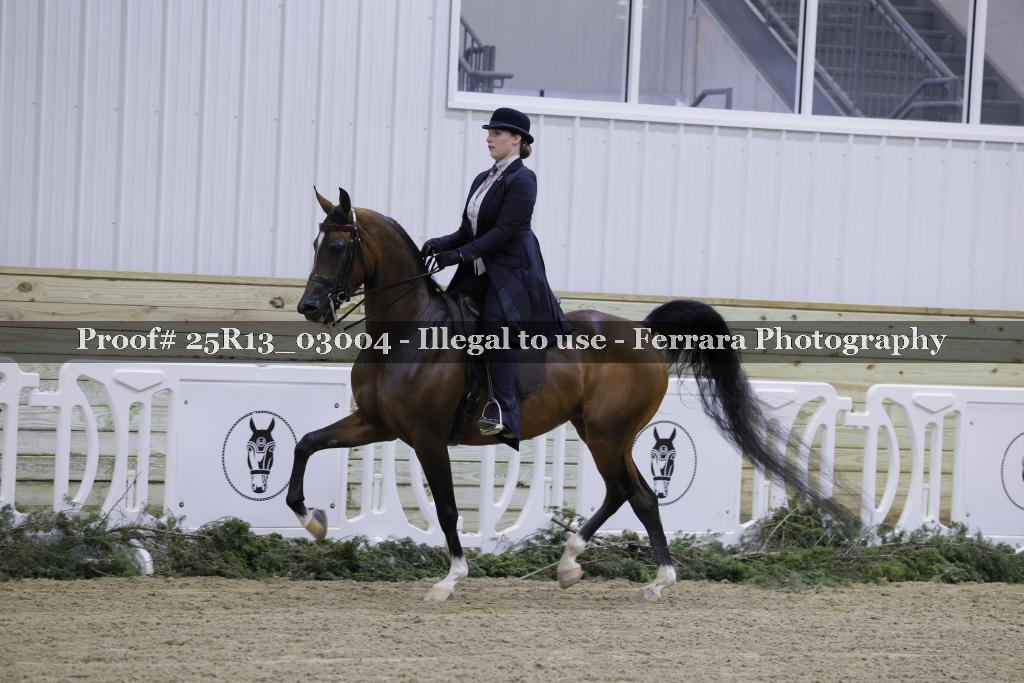 Proof 25R13_03004