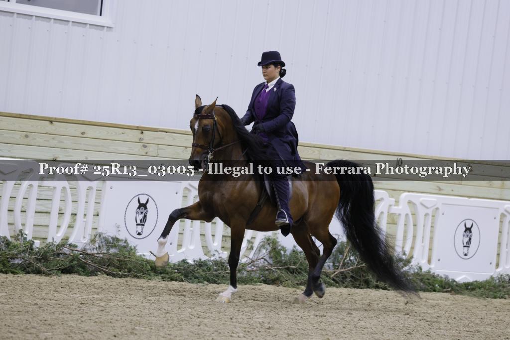 Proof 25R13_03005