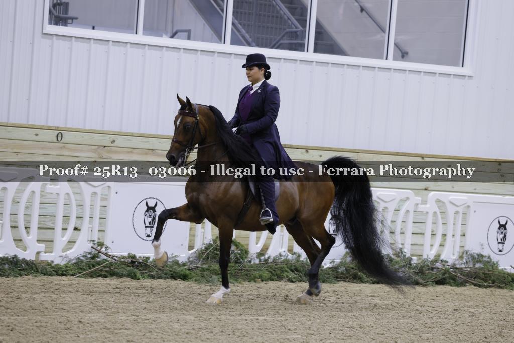 Proof 25R13_03006