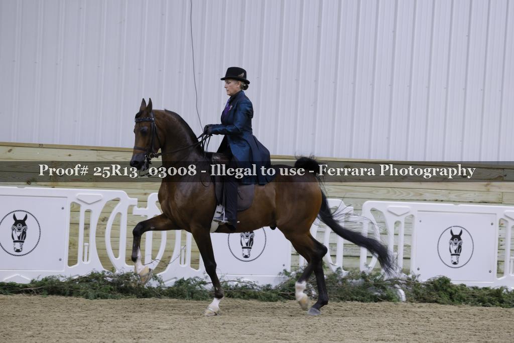 Proof 25R13_03008