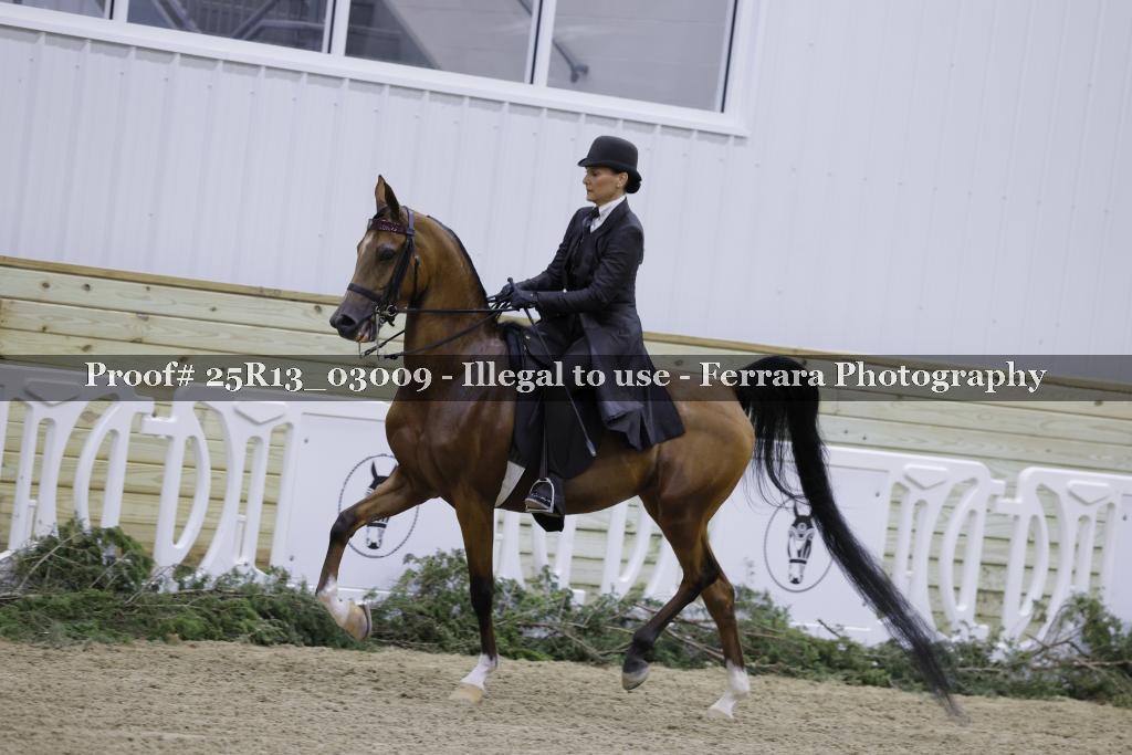 Proof 25R13_03009
