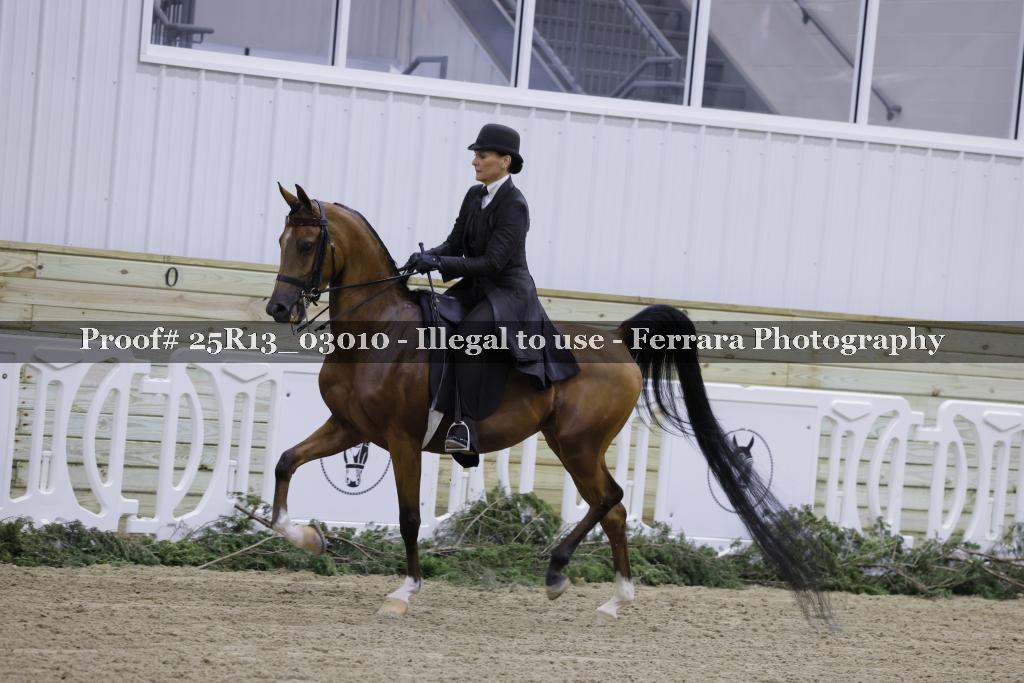 Proof 25R13_03010